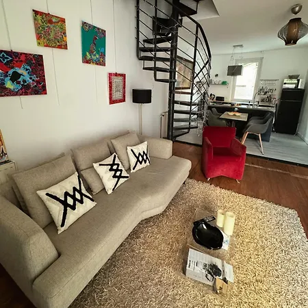 Apartment Maison Centre-ville Avec Terrasse Privee De 35m2 Toulouse